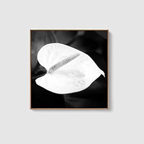 Framed Canvas Home Artwork Decoration Beautiful Flower Canvas Wall Art for Living Room, Bedroom - 16x16 inches