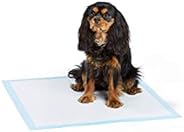 AmazonBasics Orina de perro y cachorro, almohadillas de entrenamiento para orinal, absorción de alta resistencia