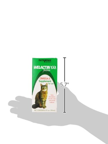 NUTRAMAX WELACTIN OMEGA-3 FISH OIL SKIN AND COAT HEALTH SUPPLEMENT LIQUID FOR CATS – 4 OUNCE