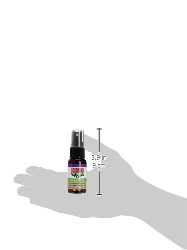 KONG Naturals Catnip Spray for Cats, 1-Fluid Ounces