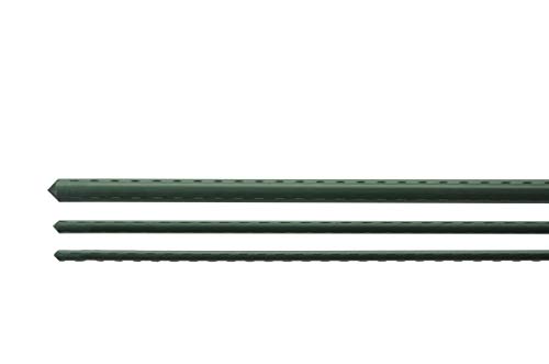 Bond Manufacturing SS6 100-Pack Super Steel Stake for Plant Support, 6-Feet