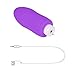 Sex Toy for Women,PPW Vibrating Egg with Remote Control,Powerful Vibrator for Clitoris Stimulation,10 Vibrations,Silicone,Waterproof Adult Toy Purple (Purple-1)