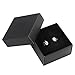 Stainless Steel Earth & Heaven Mens Stud Earrings