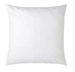 Amazon.com: 100% Feather Pillow Insert Sham Stuffer (26x26 ...