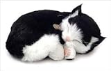 Breathing Cat by Perfect Petzzz