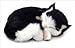 Breathing Cat by Perfect Petzzz