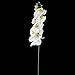 Tinksky Simulation Butterfly Orchid Artificial Flower Plant Home Decoration (White)
