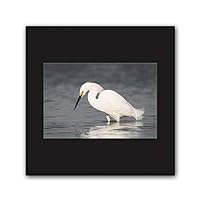 Framed Canvas Wall Art A Bird Standing on Canvas Prints Home Artwork Decoration for Living Room,Bedroom - 16x16 inches