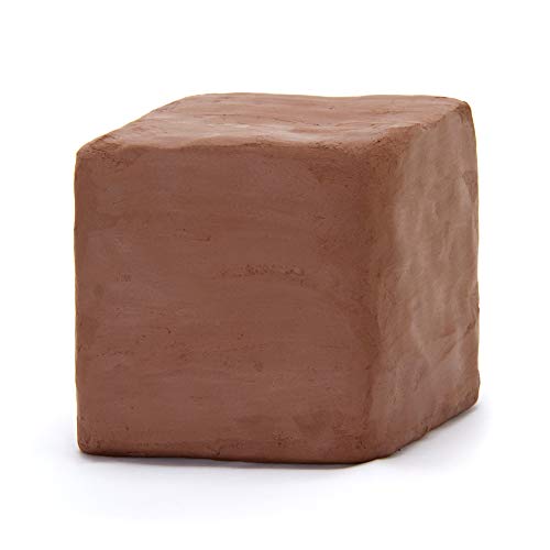 Bastex 5 lbs Low Fire Pottery Clay Terra Cotta, Cone 06. Earthware