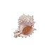 Pink Murex Seashell 4