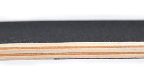 6 WiiSHAM+Complete+31+Skateboard+10