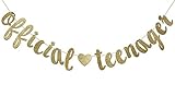 FOZEE Official Teenager Banner Sign for 13th Birthday Party Decorations 13 Years Bunting Garland Photo Prop Backdrop