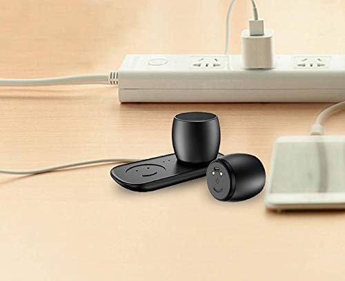 sardine f1 wireless speaker