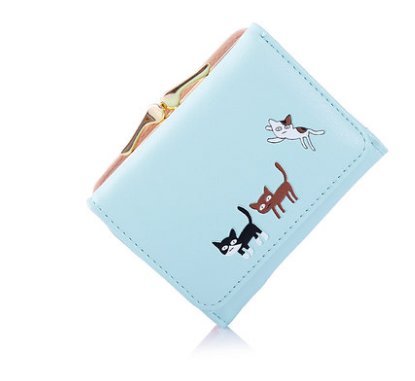 hand purse wallet