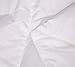 Topsleepy Luxurious Bedding Goose Down Filling Comforter, White (King Size)