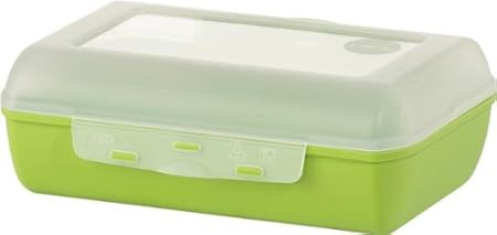 Emsa VARIABOLO Clipbox Brotbox Brotdose Vesperbox Vesperdose 19x13,5x7cm grün: Amazon.de: Küche ...