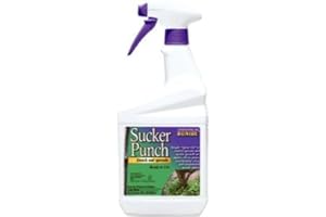 Bonide Sucker Punch 16OZ