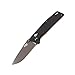 Firebird Folding Knife F7603 GANZO Pocket Folding Hunting Knife G-10 Handle SS Blade (Black) with Ball Bearing Pivot