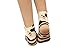 V28® Women's Cute Owl Various Pattern Mixed Color Soft Socks (One Size, 5 Mixed Dogs)
