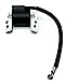 New Ignition Coil for Briggs & Stratton Armature Magneto 590454 6952605 790817 799381 802574