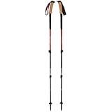 Black Diamond Trail Ergo Cork Trekking Poles