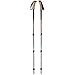 Black Diamond Trail Ergo Cork Trekking Poles