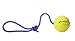 Nero Ball Splash! - Floating Rubber Dog Ball on a Rope - Beach, Lake, Pool, Dog Exercise and Reward