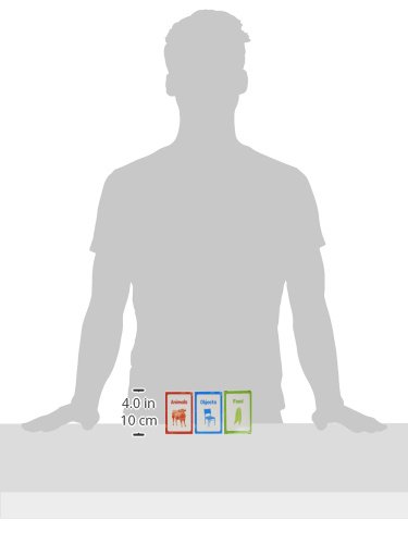 Junior Learning Noun Flash Cards