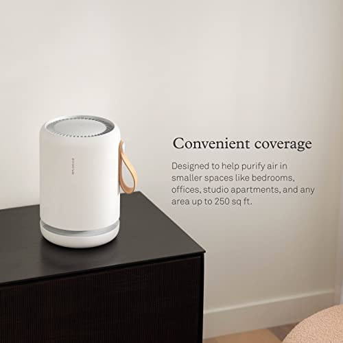 Molekule Air Mini+, Air Purifier for Small Home Rooms up to 250 sq. ft
