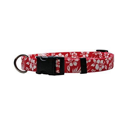 large red dog collar