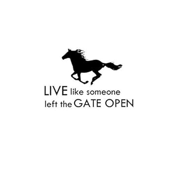 Nursery Aluckyhorseshoe Horse Vinyl Wall Decal Mustang Quote