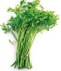 Honeyman Farms 4340 Water Dropwort Korean Minari Seed ...