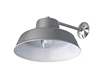 Canarm BL14CWS All Weather 1-Bulb Ceiling or Wall Mount All Weather Light with Clear Glass Globe, Grey (Tools &amp; Home Improvement)