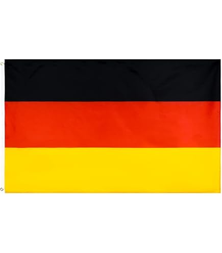 BSI Flagge 90x150 Cm – 100% Polyester, Mit 2 Metallösen, Doppelt Genäht