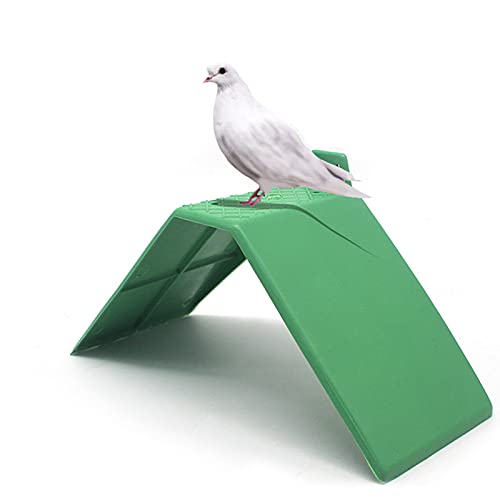 Pigeon Perches 10PCS Plastic Small Green Anti-skid Design Dove Rest Stand Roost Frame Bird Supplies Grill Dwelling Accessories Support Cage