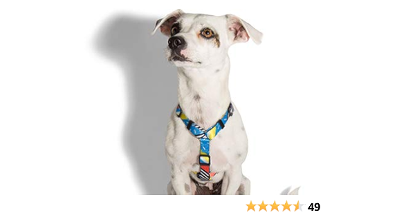 amazonbasics dog harness