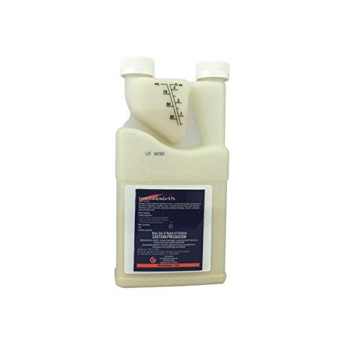 LambdaStar UltraCap 9.7% - 16 oz