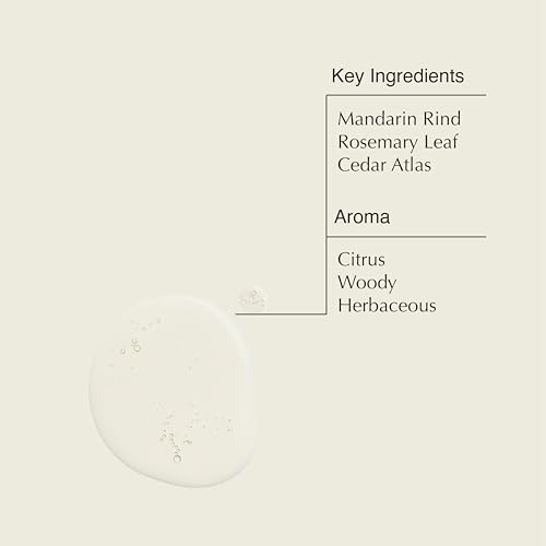 Aesop Resurrection Aromatique Hand Wash | Gentle Cleanser with Orange, Rosemary and Lavender Oils | 500mL / 16.9 oz