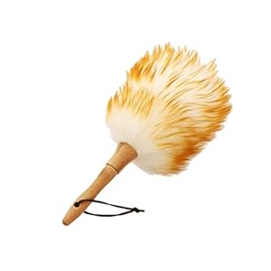 XKMY Stofborstel Dust mijten Borstel huishoudelijke veer reinigingsborstel voor bezem Fans Blinds
