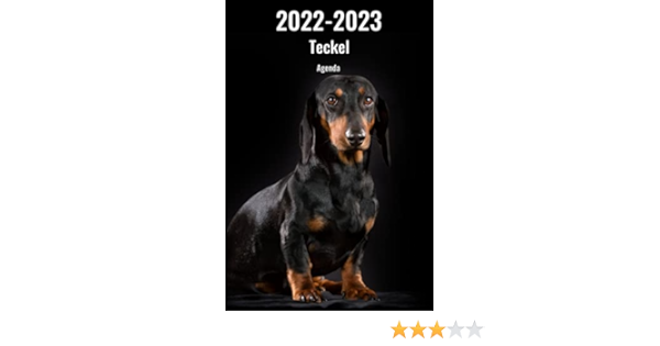 Calendrier Teckel 2023 2022-2023 Teckel Agenda: A5, 221 Pages | Planificateur & Organiseur |  Calendrier | Une Double Page Par Semaine | Journal | En Francais | Chien  (French Edition): Publications, Cr Media: 9798482853085: Amazon.com: Books
