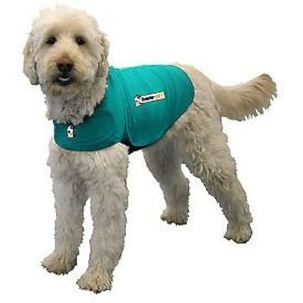 thunder jacket small dog