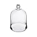CYS EXCEL Cake Stands Cloche Dome Display Centerpiece Clear Glass Jar (H: 12