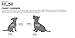 Outward Hound PoochPouch Dog Front Carrier, Medium, Blue