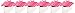kateaspen Daisy Delight Gerbera Daisy Favor Box, Hot Pink (Pack of 24)