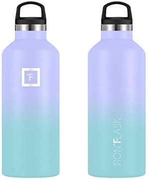 Stainless steel iron flask with lid, priced at $25.95, shown in the image.