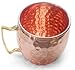 Owl Creek Handmade Moscow Mule Copper Mugs, Set of four 18 oz Hammered Cups and two 2 oz Copper Shot Glasses