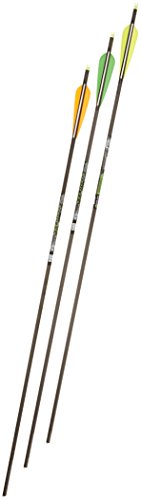Gold Tip Velocity XT 340 Arrows with 4-Inch Vanes (72 Count), Black