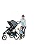 Graco Road Master Jogger Stroller, Jodie