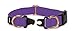 PetSafe KeepSafe Collar for Dogs - Protects Against Collar Accidents - Long Lasting - Durable - Adjustable - Breakaway - Outdoor-Safe - Medium - 3/4 In. Wide - Deep Purple