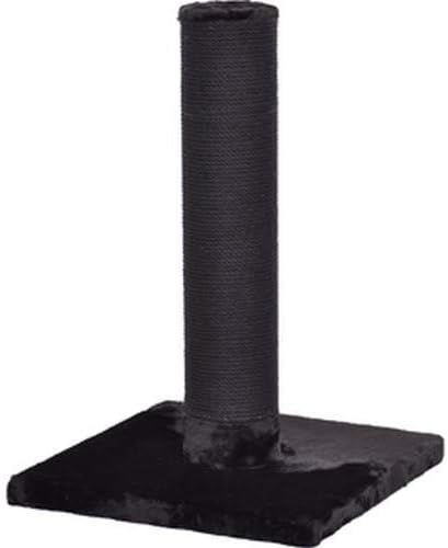 small komodo dragon pet